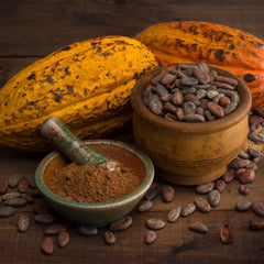 Chocolate Cocoa 'Cacao' Plant