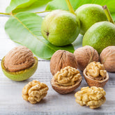 Chandler Walnut Tree
