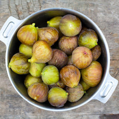 Brown Turkey Fig Tree - USDA Organic
