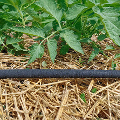 Dramm Soaker Hose