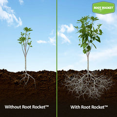 Root Rocket® Berries & Fruits Fertilizer
