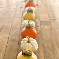 Cranberry Wax-Dipped Amaryllis Bulb with Sovereign Blooms