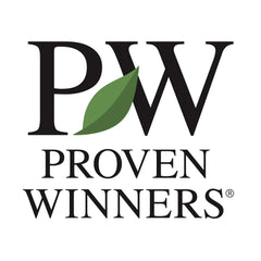Proven Winners® Ripple Effect™ Summersweet Clethra Shrub