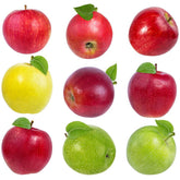 2-in-1 Apple Surprise Tree