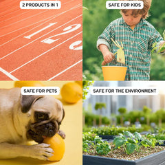 Growscripts House & Patio Plant Care Kit