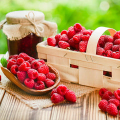 Heritage Everbearing Raspberry Bush