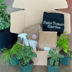 Gardenuity® Patio Tomato Garden