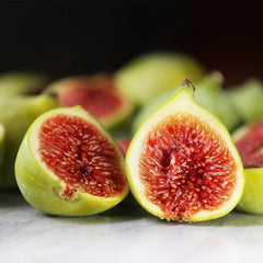 Desert King Fig Tree