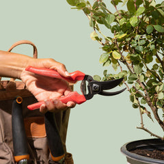Corona ClassicCUT® Pruners - 3/4 in.