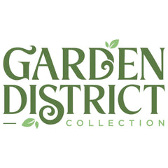 Garden District Show Stopper™ Hydrangea Bush