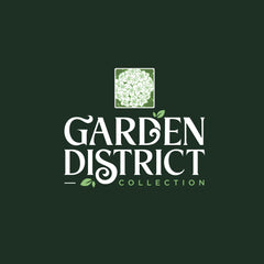 Garden District Midnight Rider™ Hydrangea Bush
