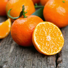 Kishu Mandarin Tree