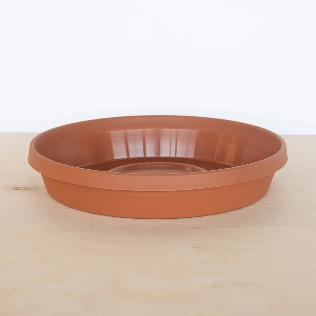 Bloem Terra Saucer in Terra Cotta