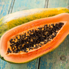 Tainung Papaya Tree