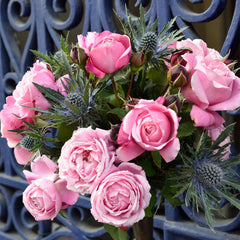 Cathedral Bells® Rose Shrub