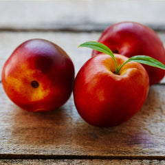 Flavortop Nectarine Tree