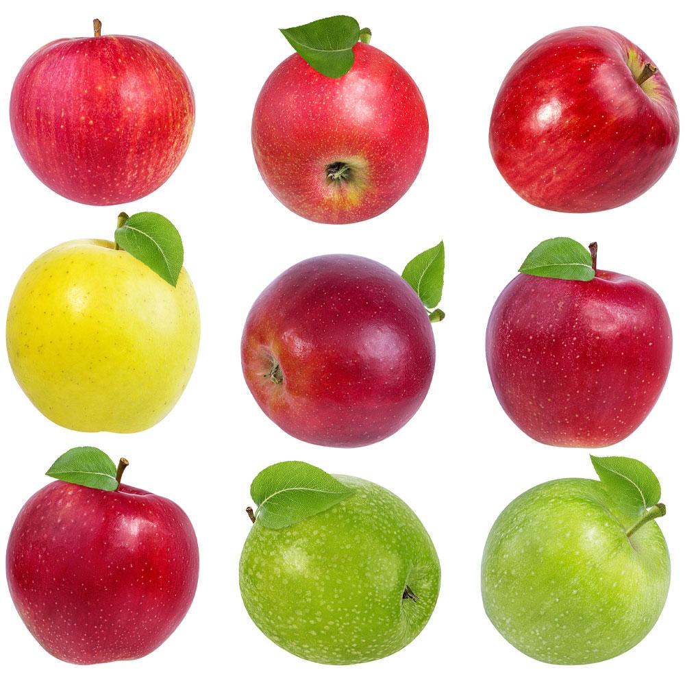 2-in-1 Apple Surprise Tree