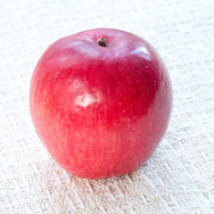 Liberty Apple Tree