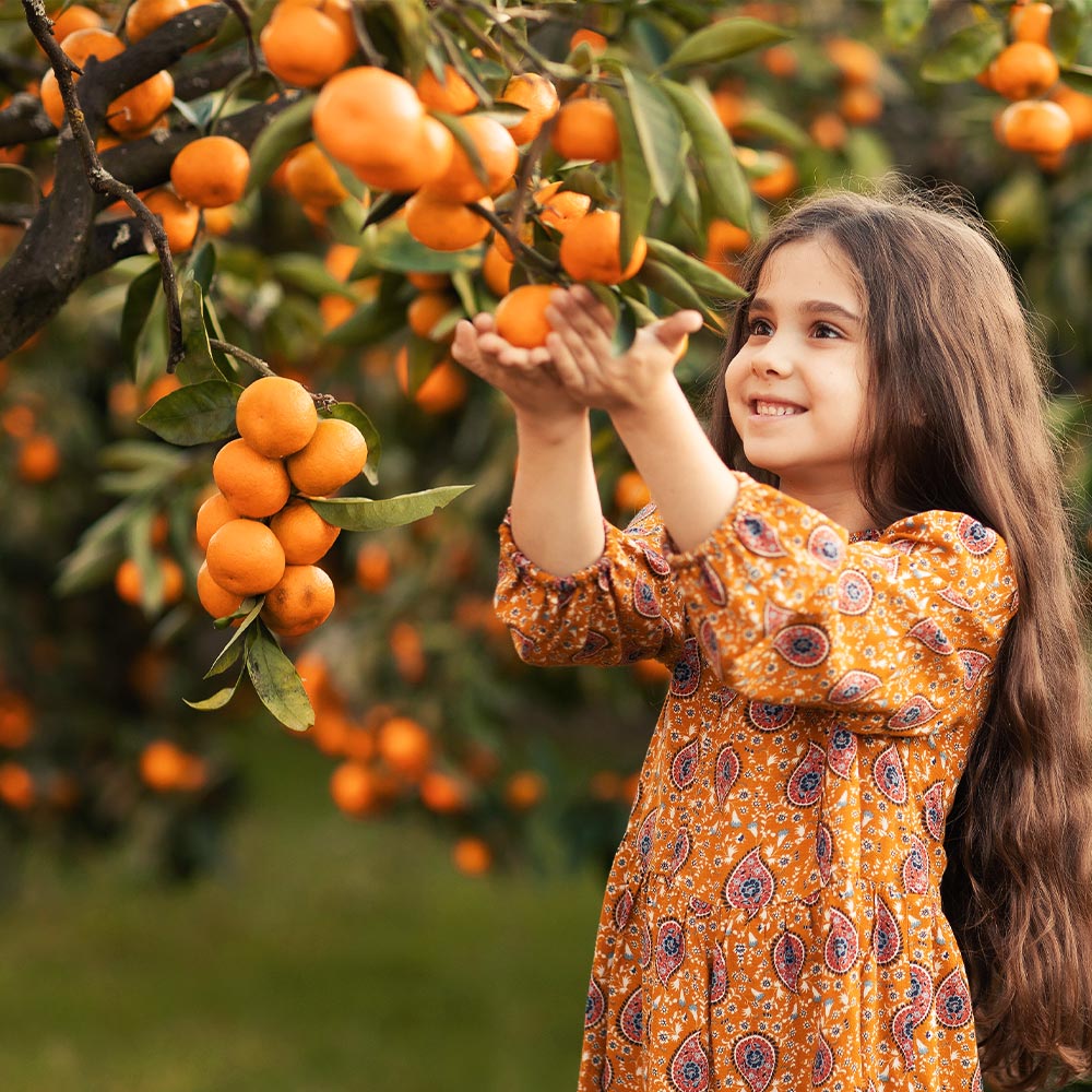 Page Mandarin Tree