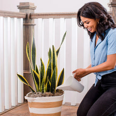 Watering Can