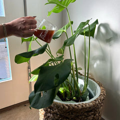 Flourish Organic Plant Food