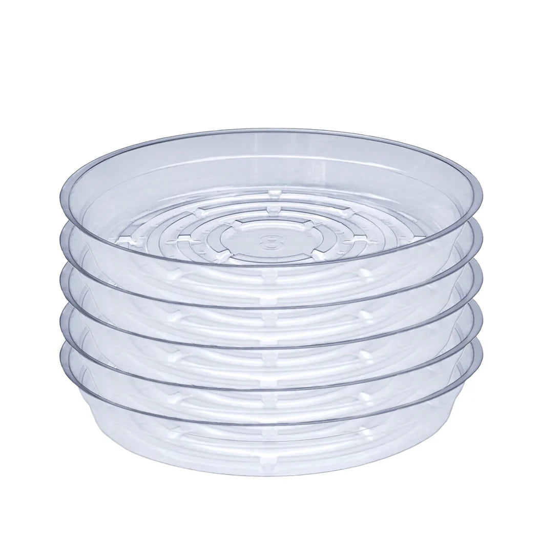Clear Vinyl Plant Saucer 5-Pack