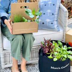 Gardenuity® Patio Garden for Mom