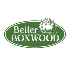 Better Boxwood® Babylon Beauty™ Shrub